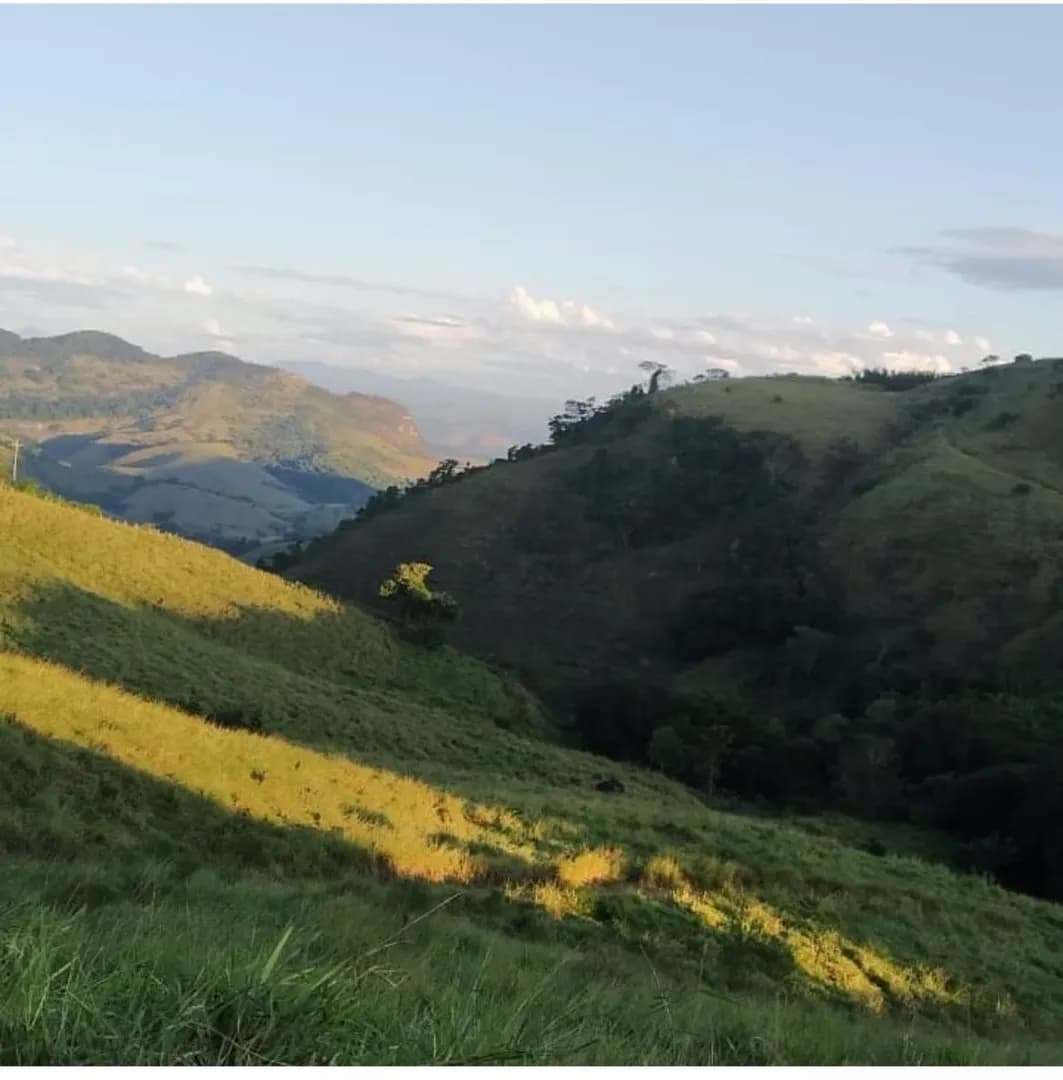 Sítio Mar de Espanha- Saudade- 14,44 alqueires - Foto 9