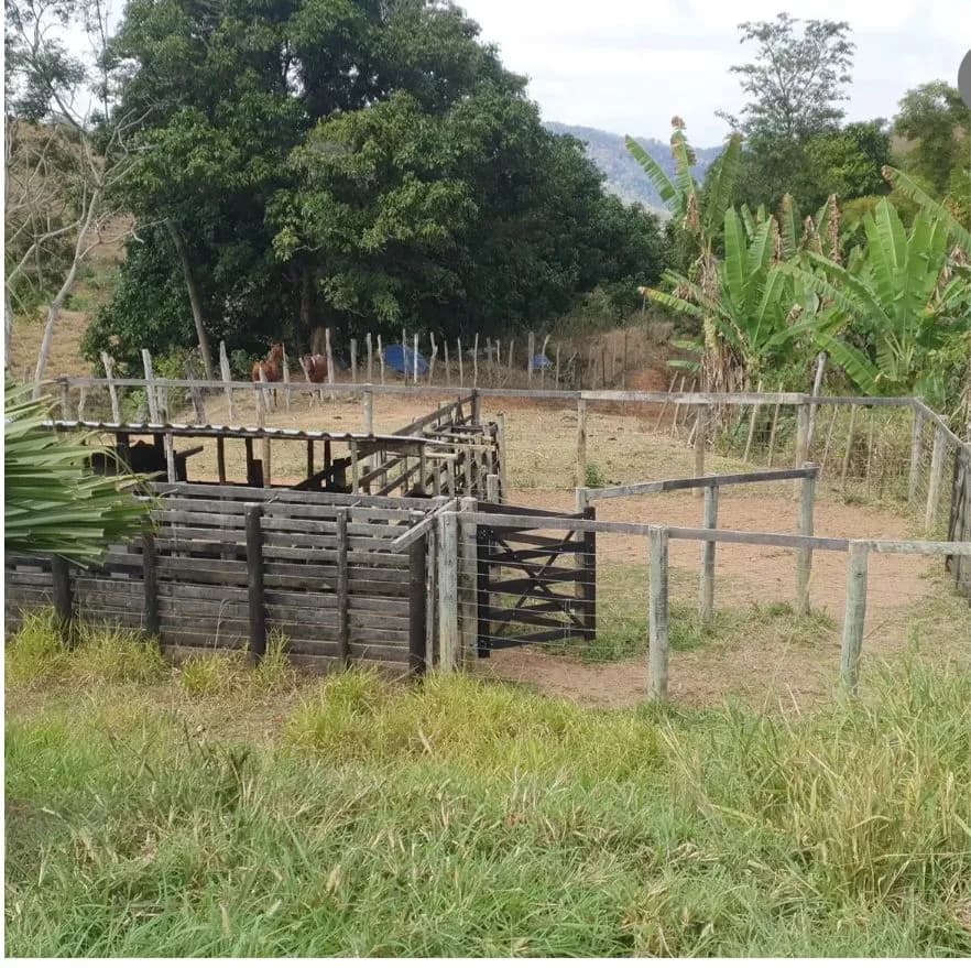 Sítio Mar de Espanha- Saudade- 14,44 alqueires - Foto 12